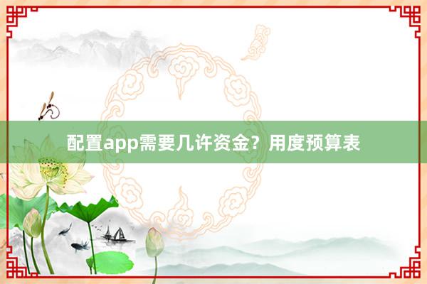 配置app需要几许资金？用度预算表