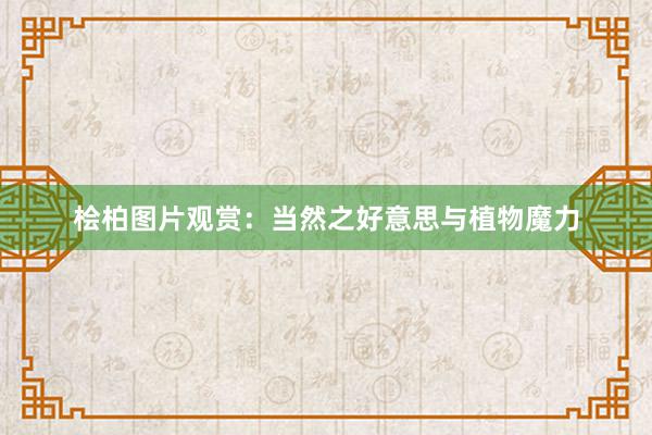 桧柏图片观赏：当然之好意思与植物魔力